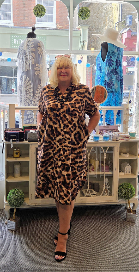 Leopard Print Collar Dress